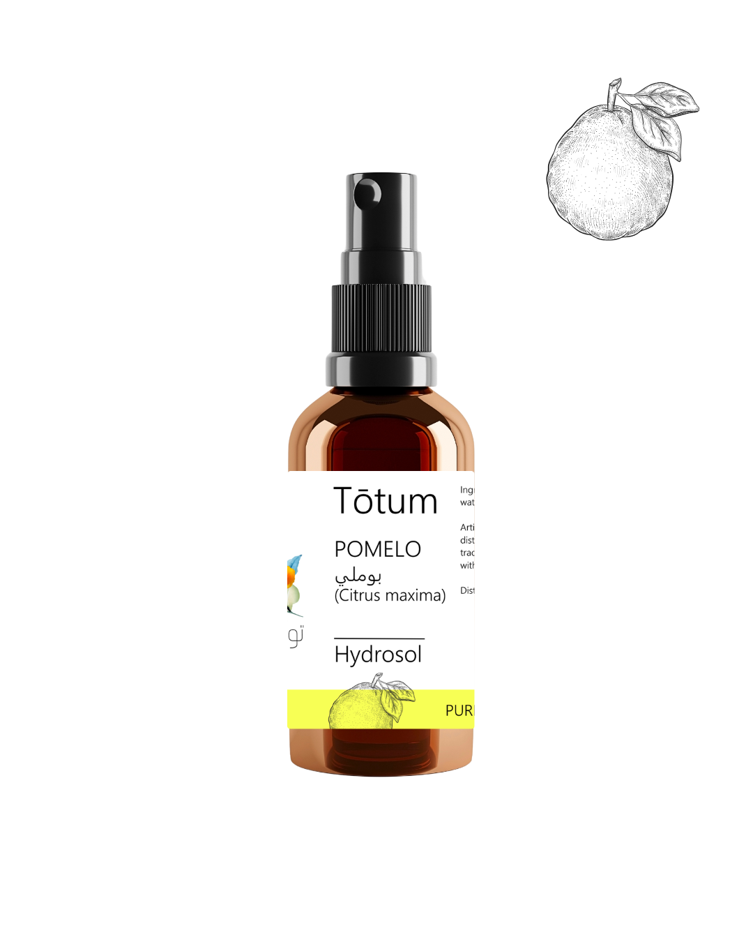 POMELO (Citrus maxima) Hydrosol