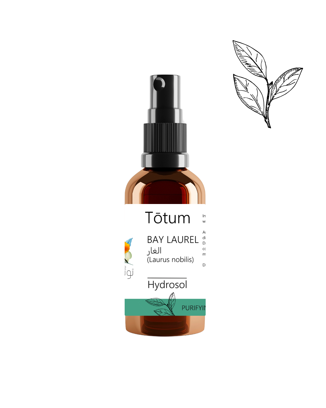 BAY LAUREL (Laurus nobilis) Hydrosol