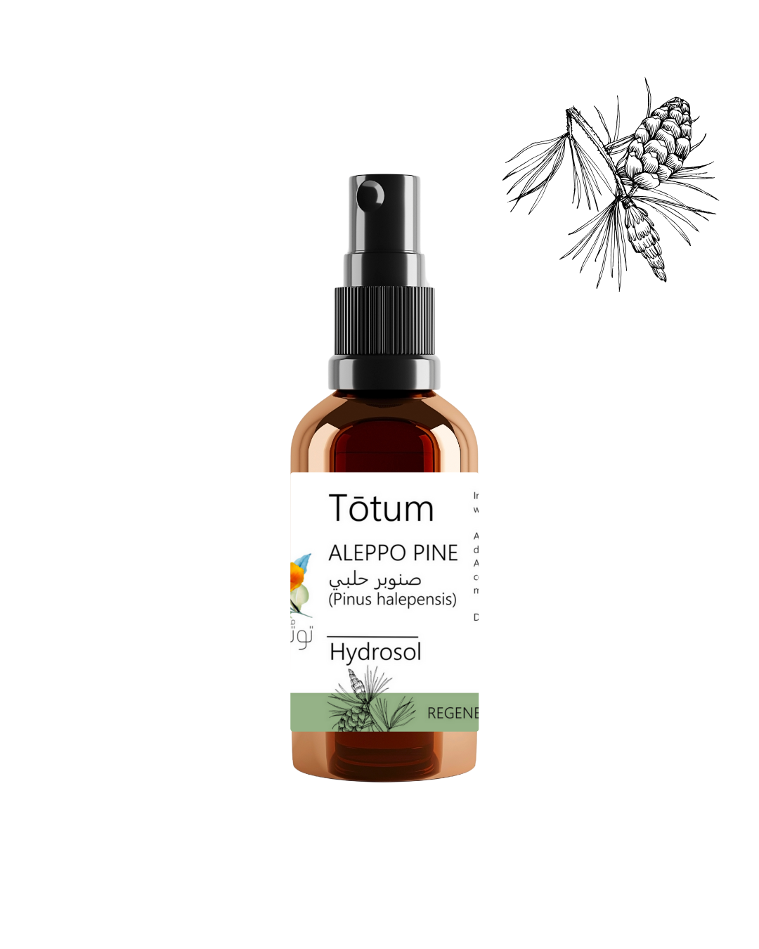 ALEPPO PINE (Pinus halepensis) Hydrosol