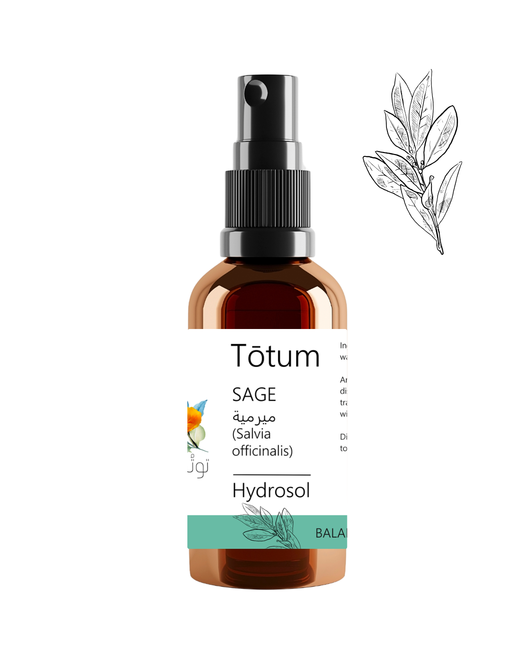 SAGE (Salvia officinalis) Hydrosol