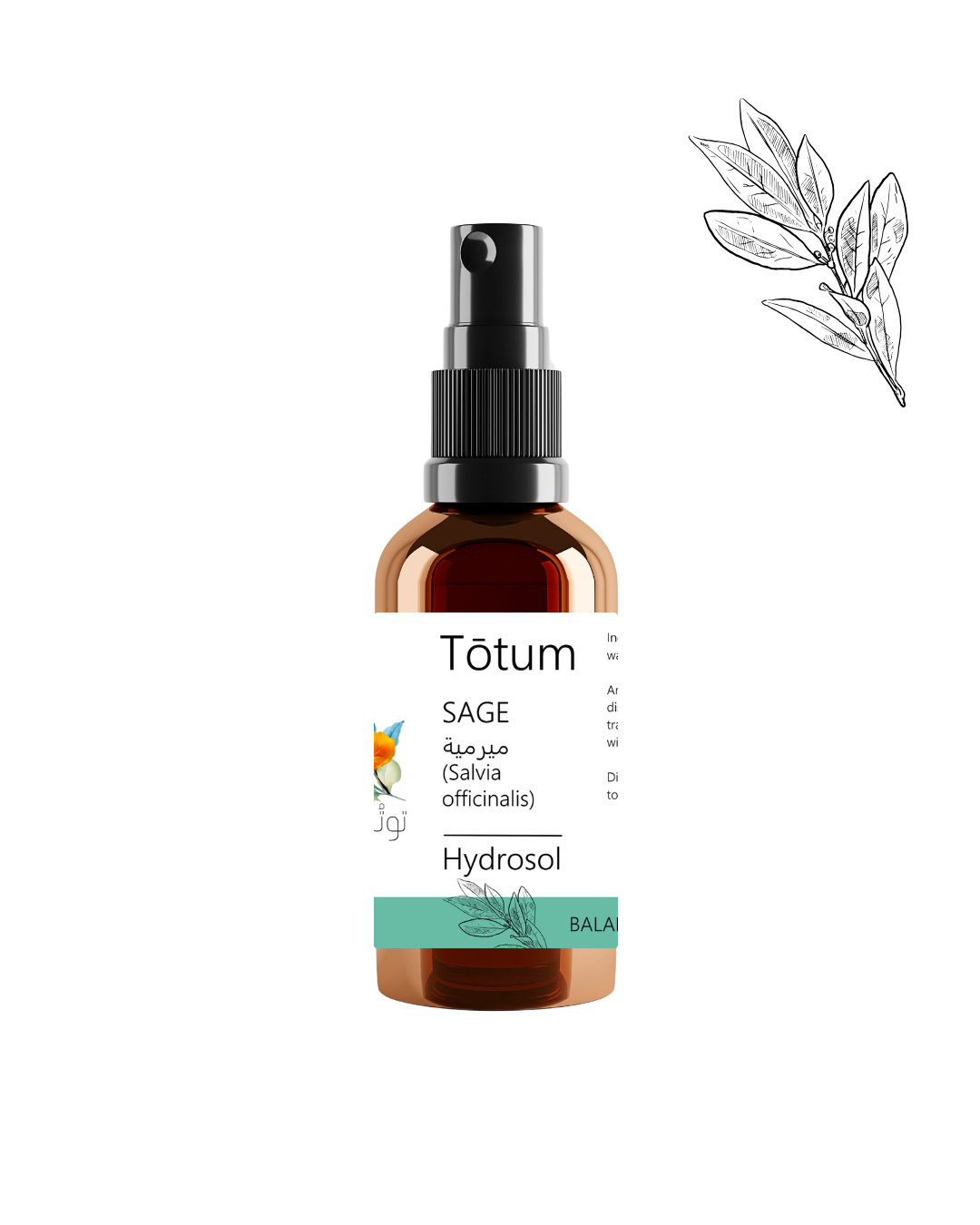 SAGE (Salvia officinalis) Hydrosol