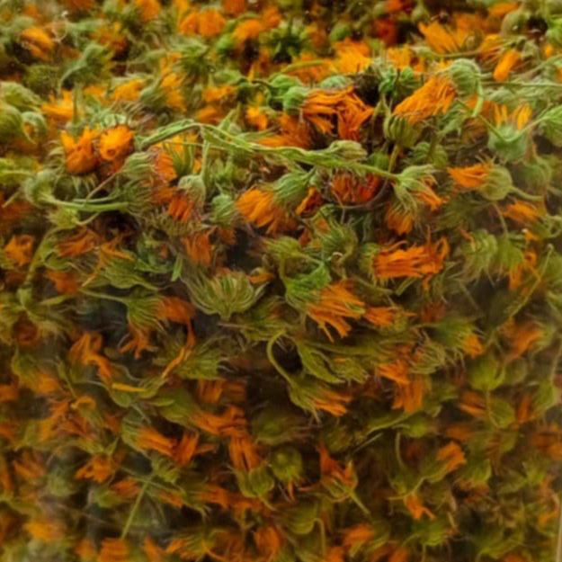 "SENSITIVE CARE" - MULTI BALM - Wild Calendula & Rose Geranium - 30ml